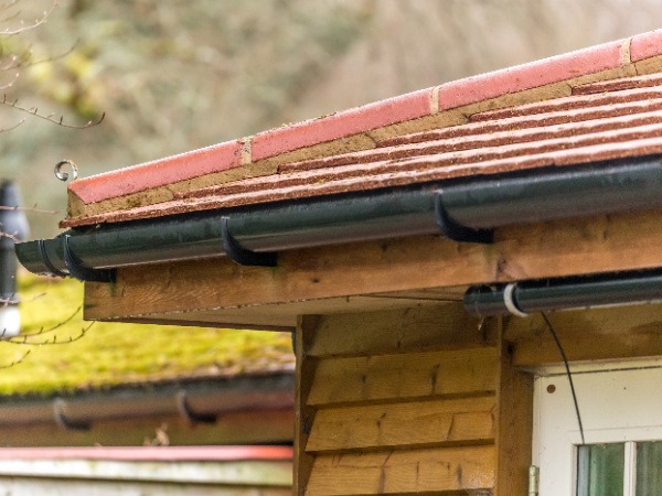 roof cleaning