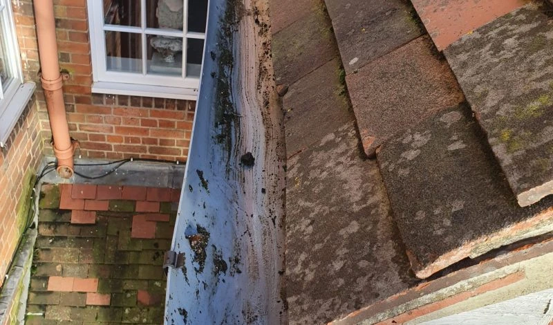 Gutters cleaned out by hand