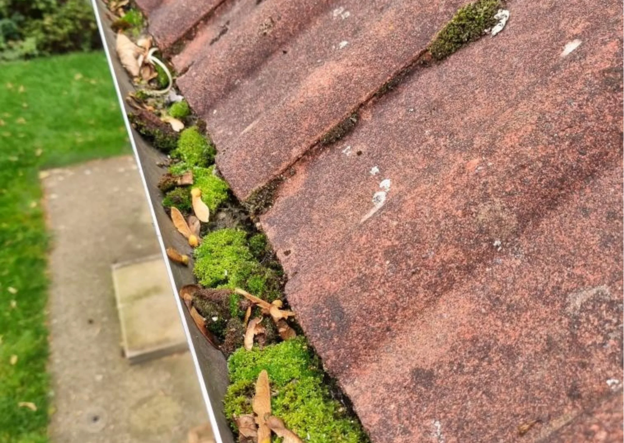 Before image of gutters filled with leaves and moss