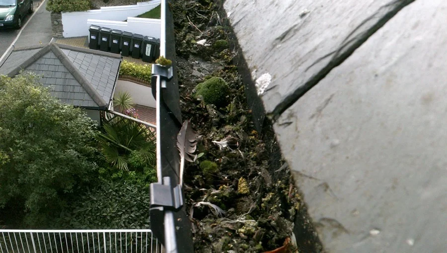 Gutter filled with moss