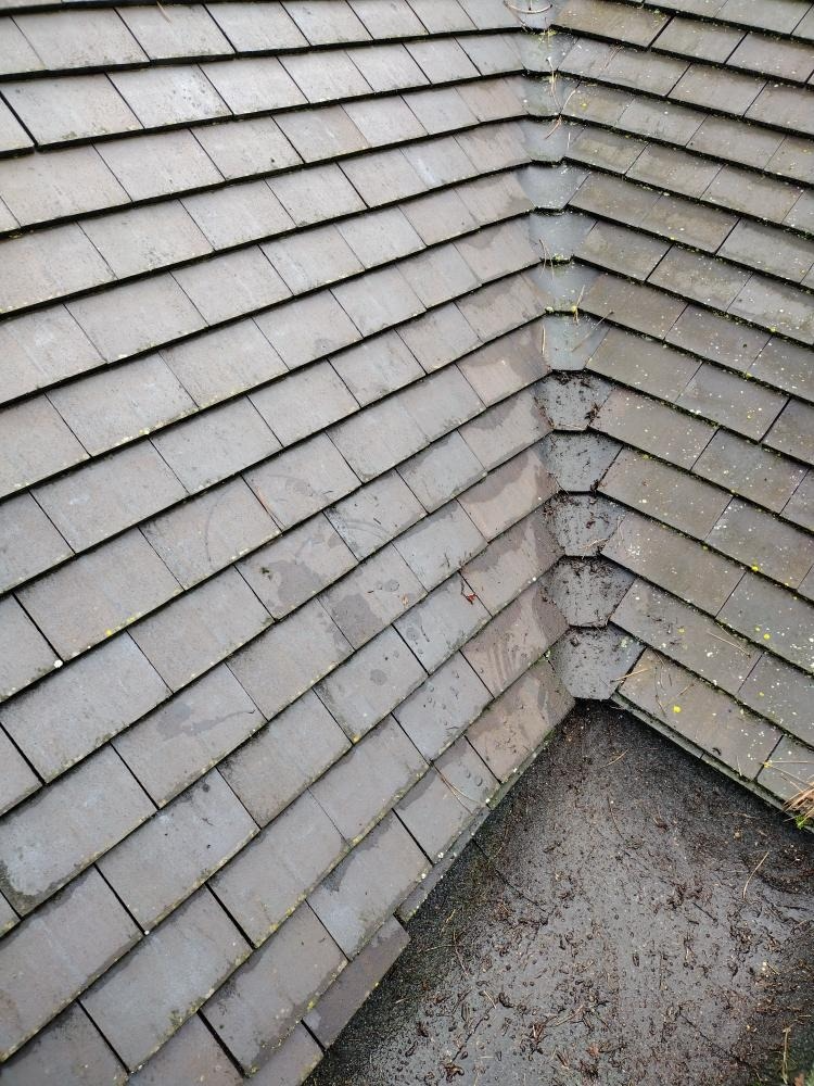 professionally clear gutters