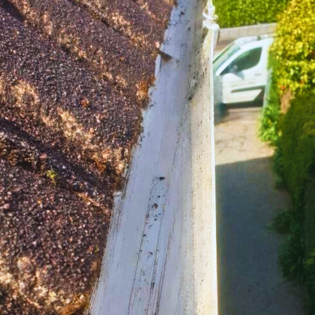 professional clean gutters