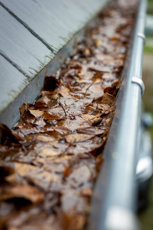 how to unblock my gutters in Welling