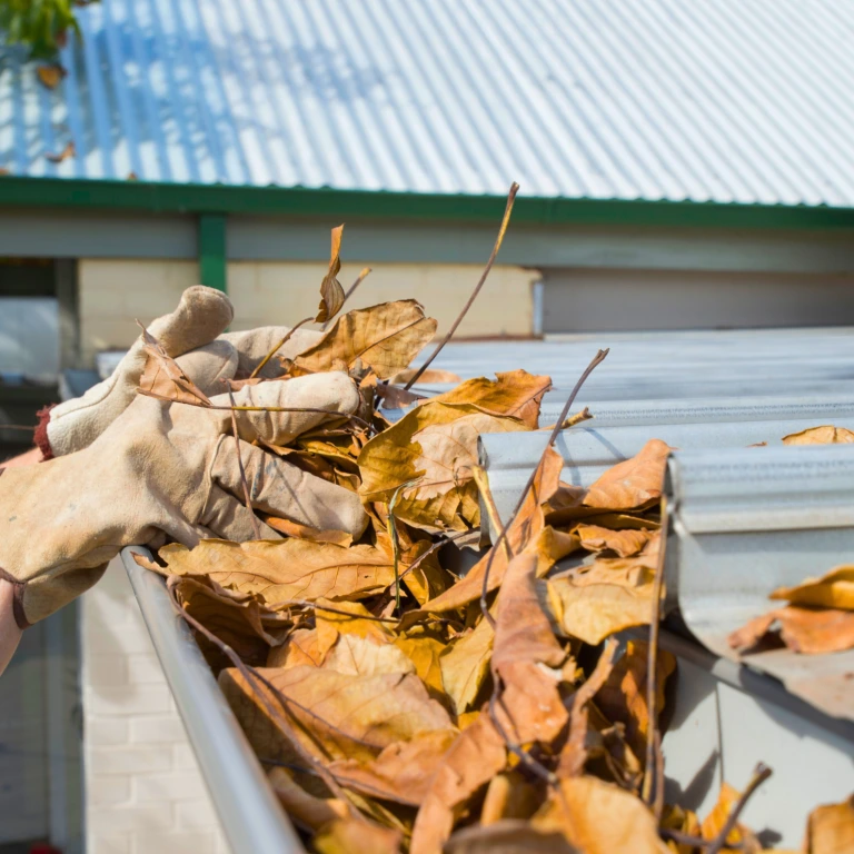 full gutters with leaves inside