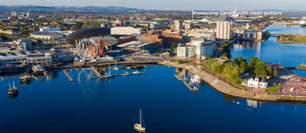 overview of cardiff