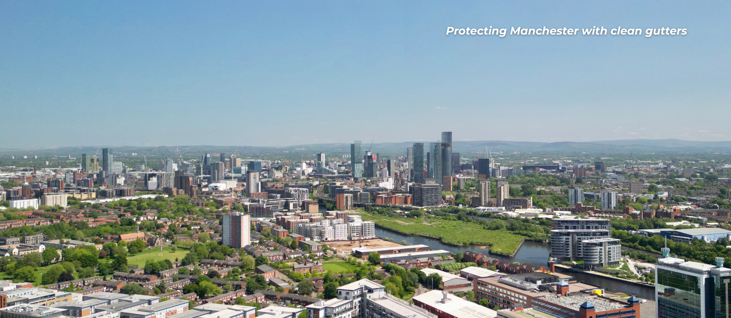 overview of manchester blue skies