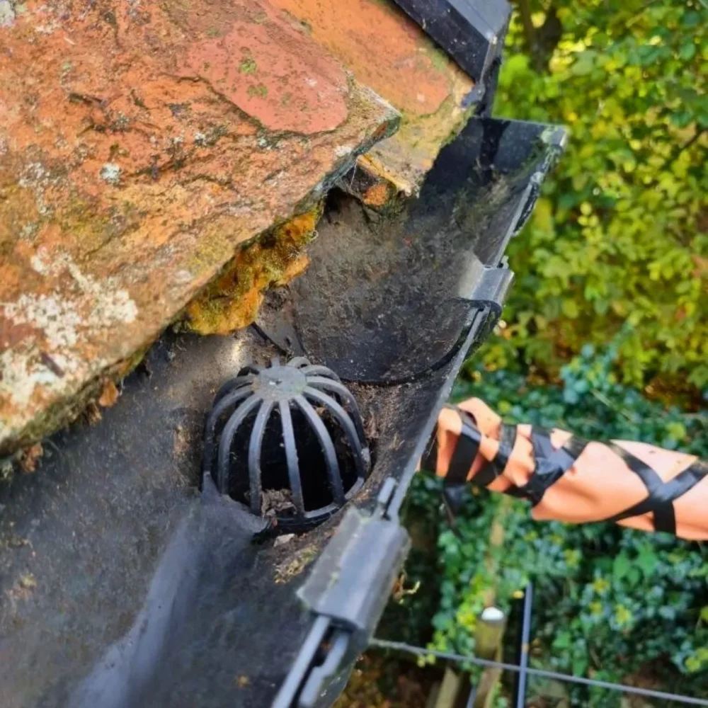professionally clean gutters
