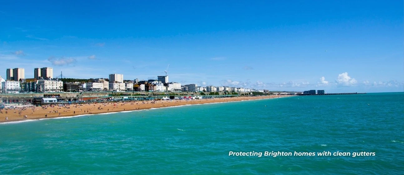 A landscape of Brighton's buildings and its iconic beach, this is showing a fair share amount of roofs that gutter cleaners typically deal with, this is to provide context in the blog post.