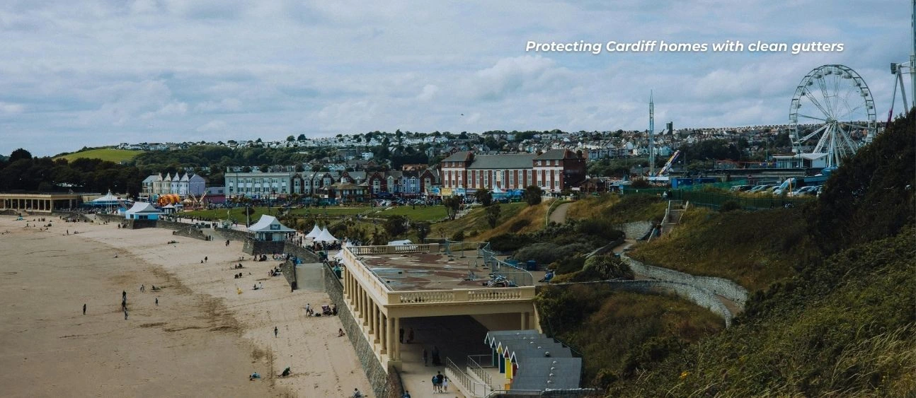A coastal landscape setting of whales providing a decorative context of the location that this blog is specialized for.