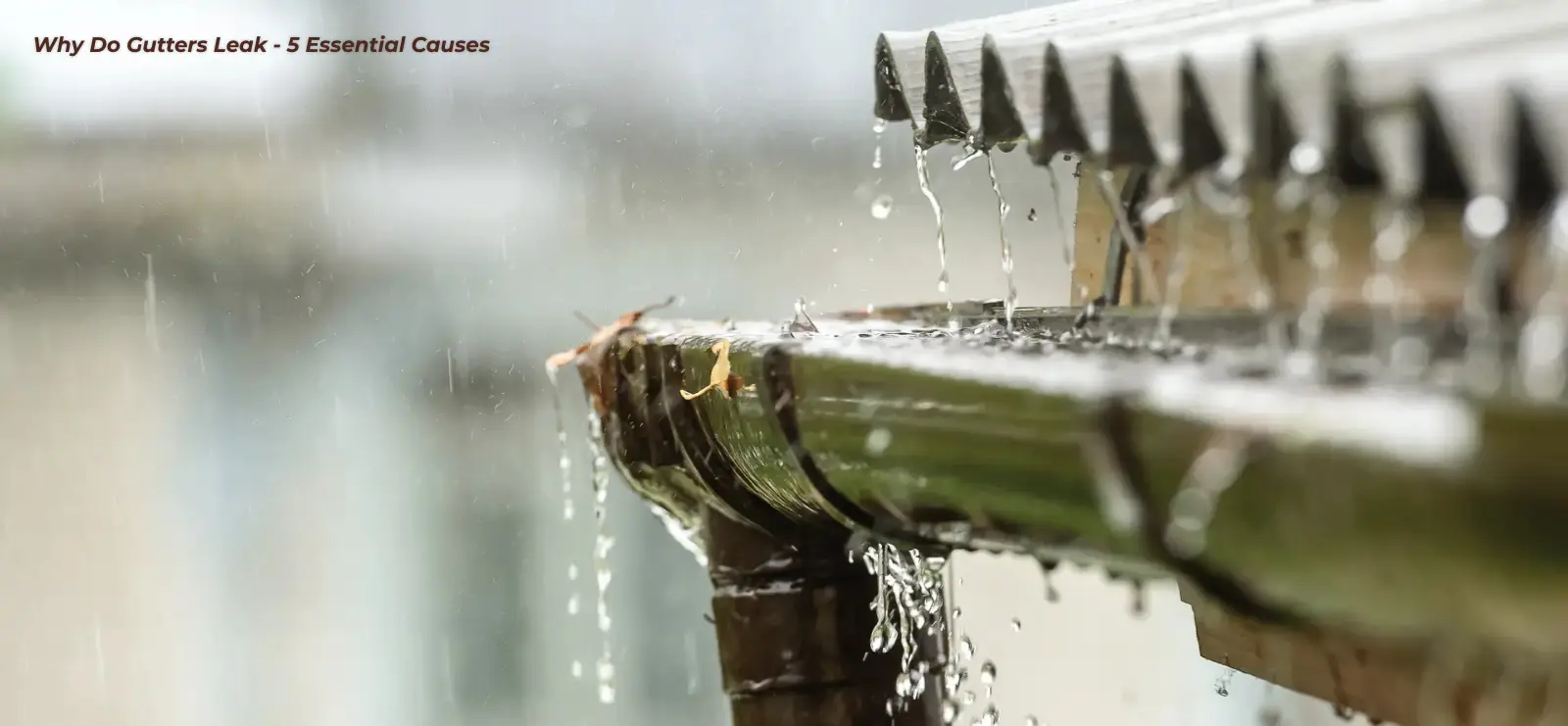 why do gutters leak?