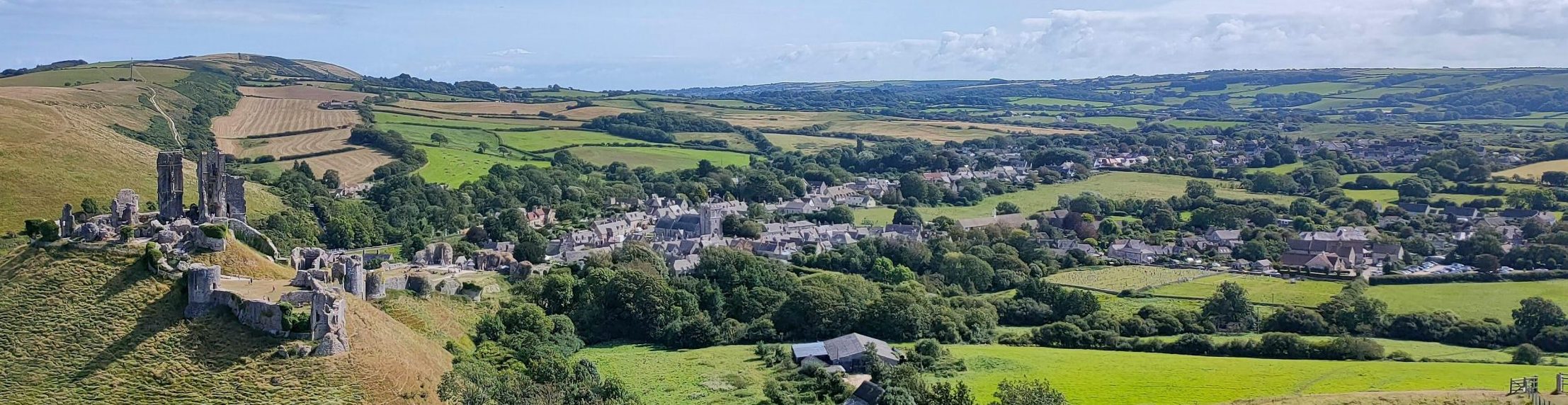 An aerial view of an area in Dorset, showing a vast group of houses, a zone for a gutter cleaner.