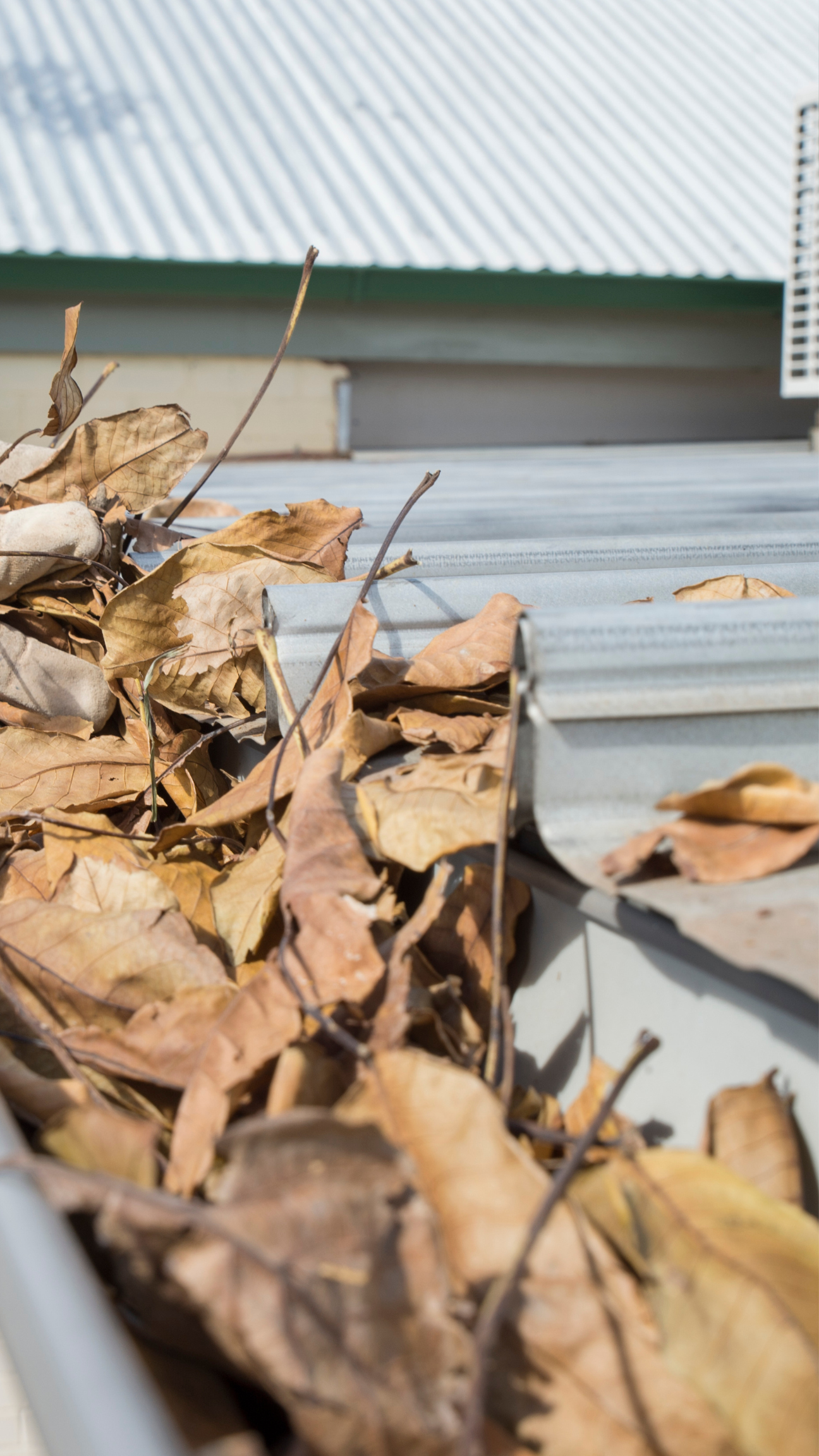 An image showing a gutter that needs cleaning in Exeter, catered to target audiences.
