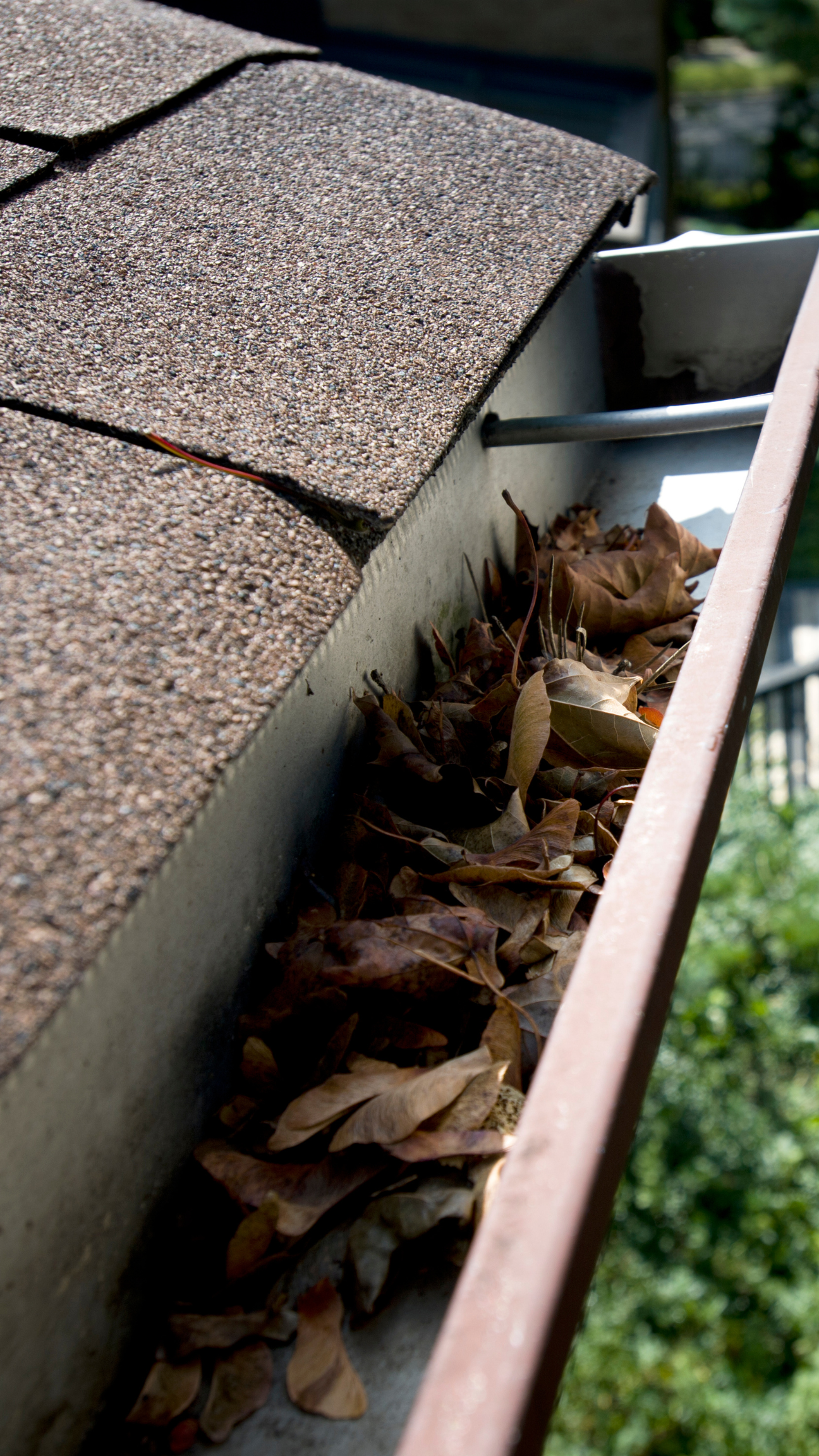 An image showing a gutter overflowing with leaves showing context of what Ben's Gutters can help with.