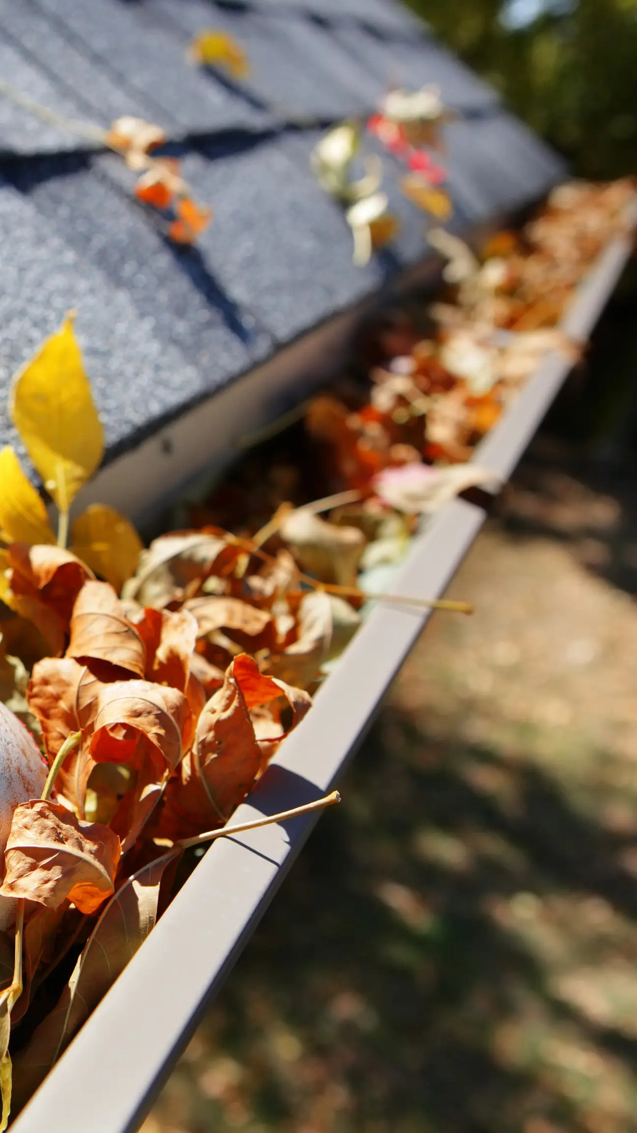 Blocked gutters that need cleaning in West Sussex.