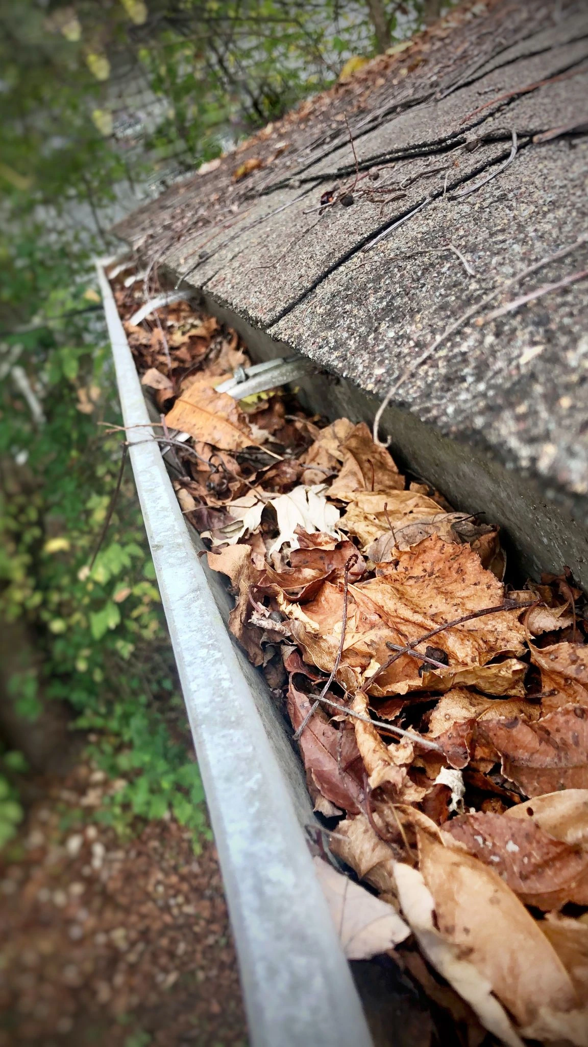 A full gutter with leaves and twigs in merseyside that needs gutter cleaning