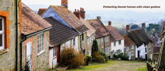 How Much Does It Cost to Have My Gutters Cleaned in Dorset?