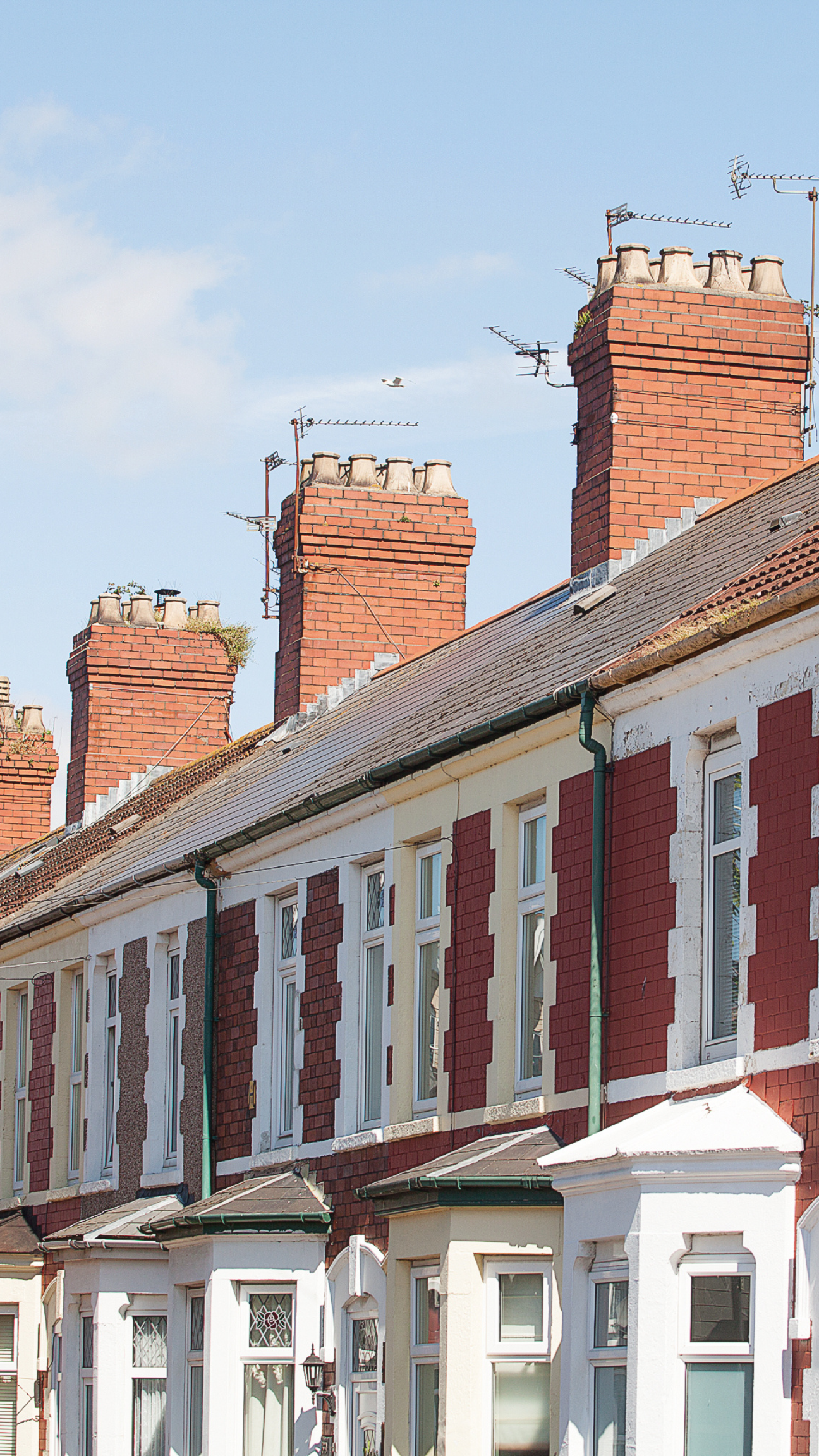 A portrait showing a street of houses that need their gutters cleaned in Cardiff, a prime example of our target audience.