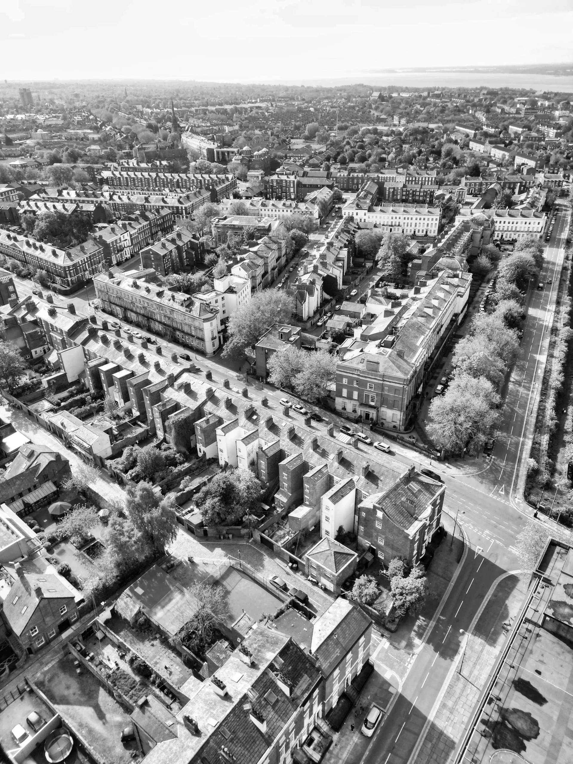 An aerial portrait showing a Liverpool resident showing all types of gutters.