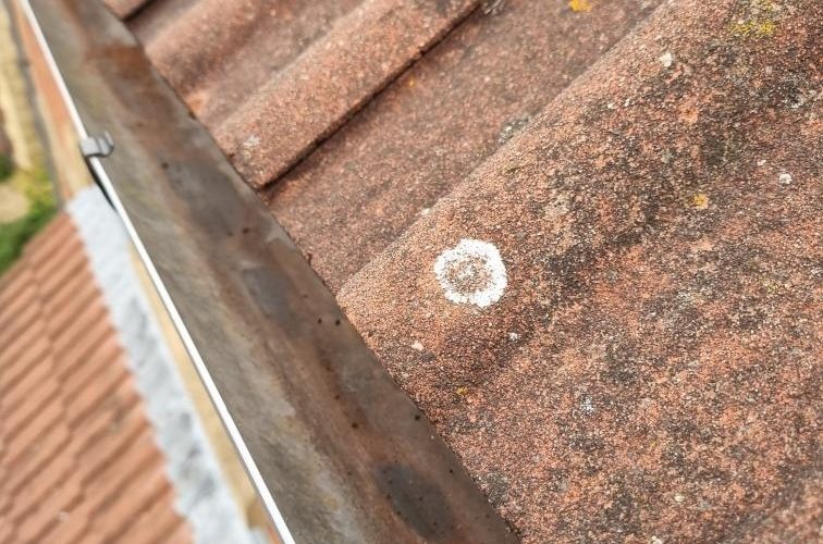 After photo of a gutter cleaning job in Devon