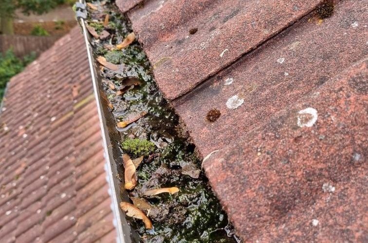 Before photo of a gutter cleaning job in Devon