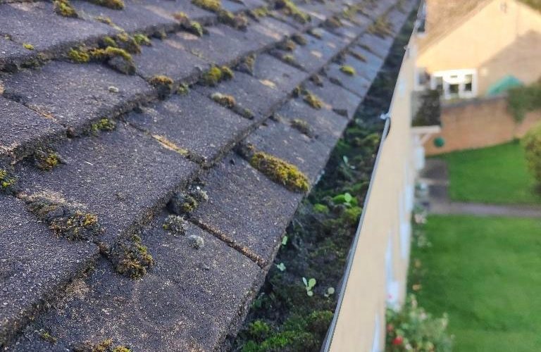 Before photo of a gutter cleaning job in West Sussex